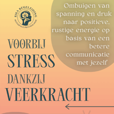 VOORBIJ STRESS DANKZIJ VEERKRACHT: Ombuigen van spanning en druk naar positieve, rustige energie op basis van een betere communicatie met jezelf. VOORBIJ STRESS DANKZIJ VEERKRACHT: Ombuigen van spanning en druk naar positieve, rustige energie op basis van een betere communicatie met jezelf.